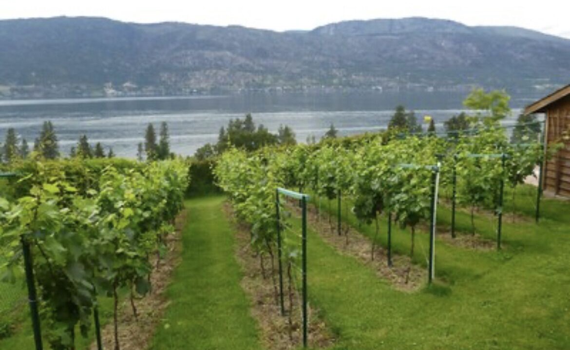 Photo of Outdoor in Central Okanagan