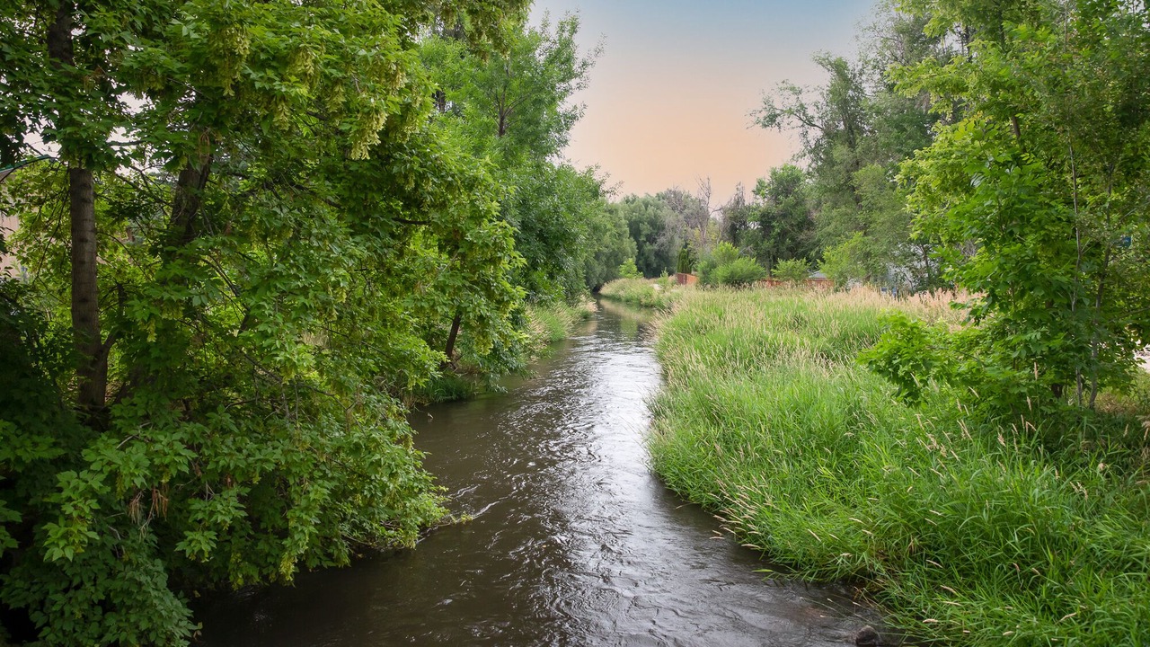 Photo of Others in Loveland