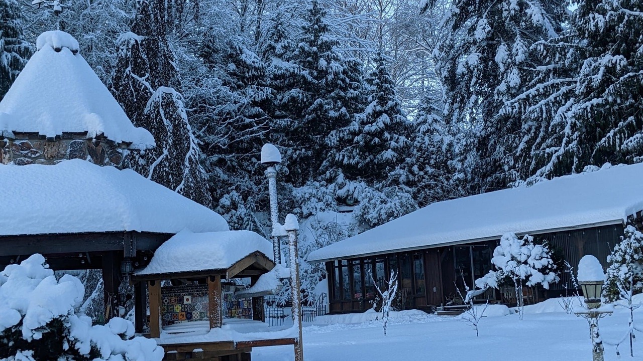 Photo of Outdoor in Black Creek