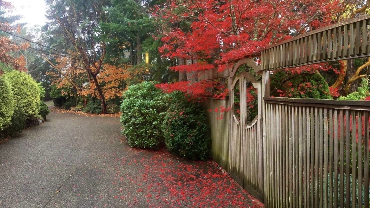 Photo of Others in Victoria