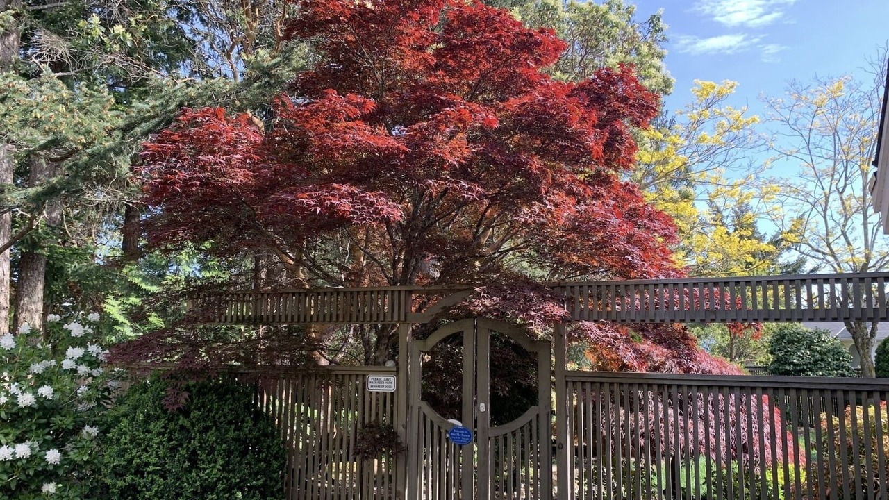 Photo of Others in Victoria