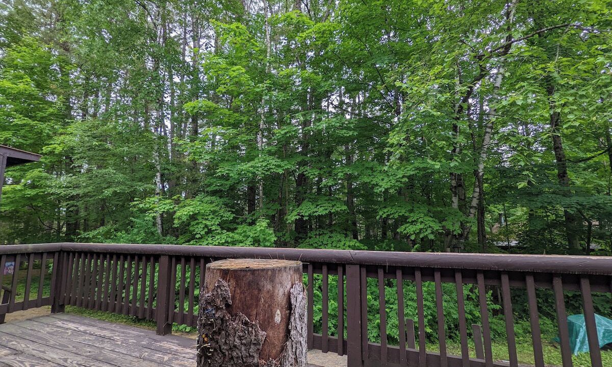Photo of Outdoor in Chestertown