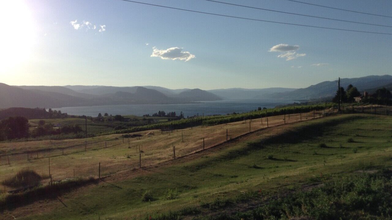 Photo of Others in Okanagan-Similkameen