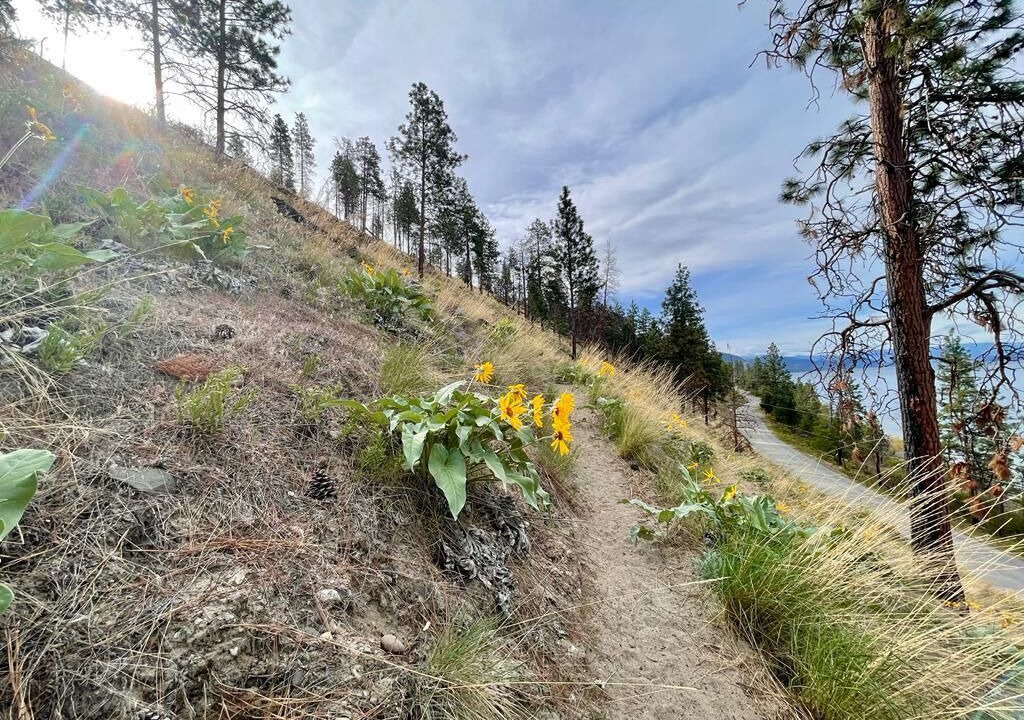 Photo of Outdoor in Central Okanagan