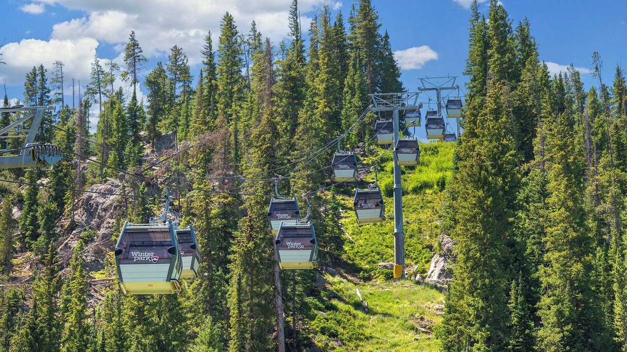 Photo of Others in Fraser