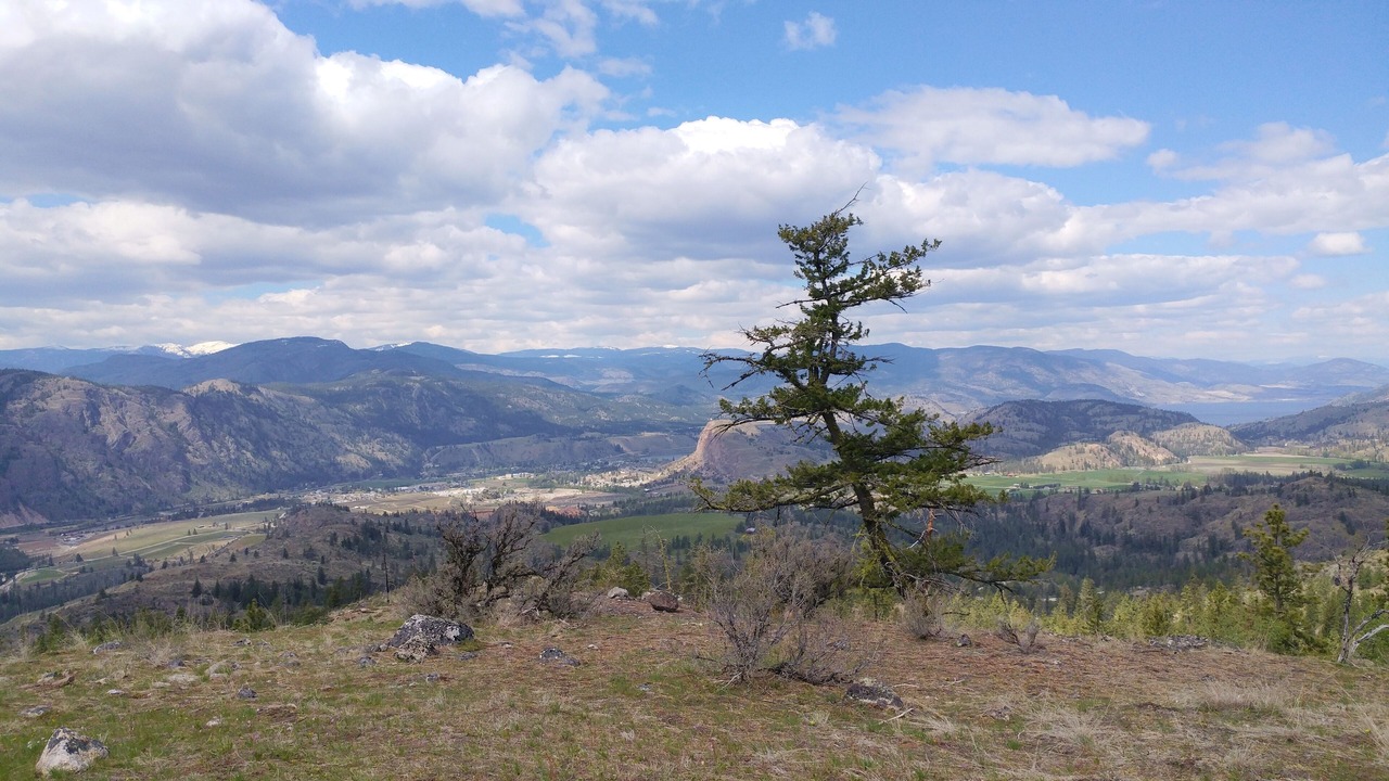 Photo of Others in Okanagan-Similkameen