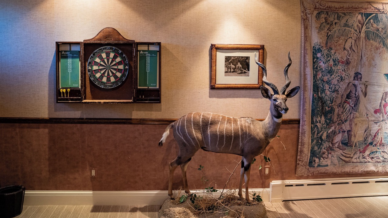 Photo of Others in Pagosa Springs