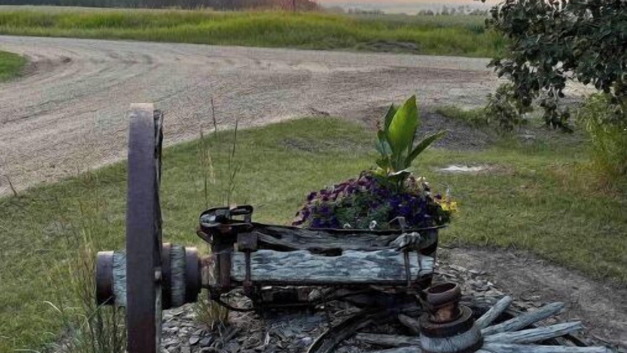 Photo of Outdoor in Central Alberta