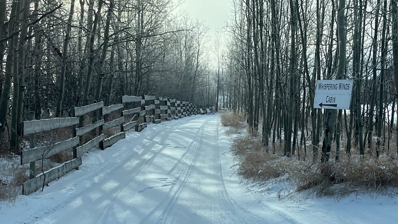 Photo of Outdoor in Central Alberta