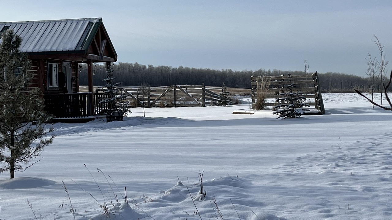 Photo of Outdoor in Central Alberta
