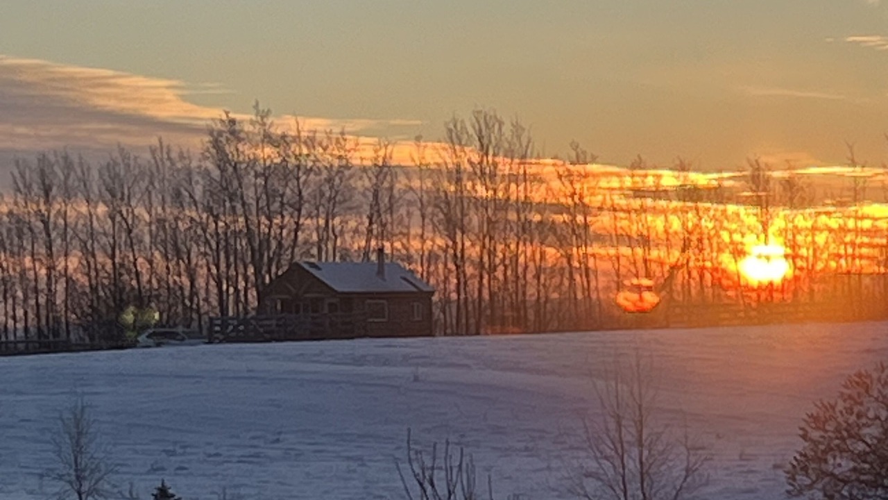 Photo of Others in Central Alberta