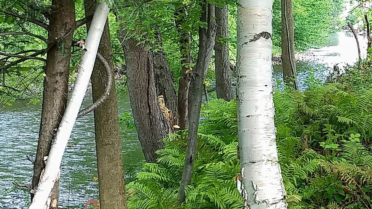 Photo of Others in Upper Village