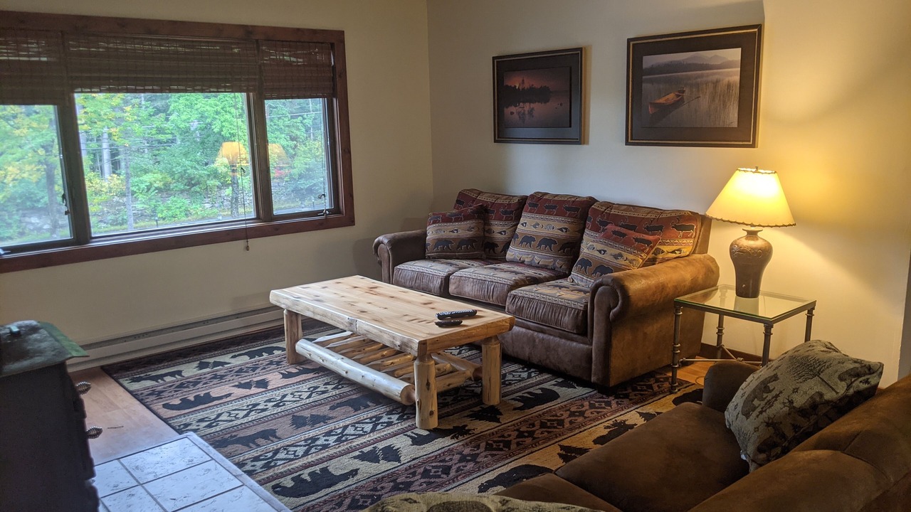 Photo of Livingroom in Lake George