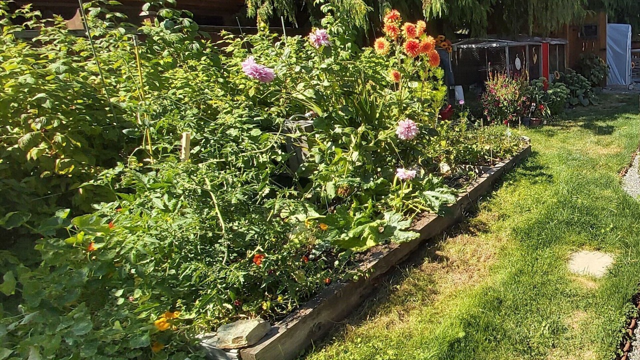 Photo of Outdoor in Shawnigan Lake