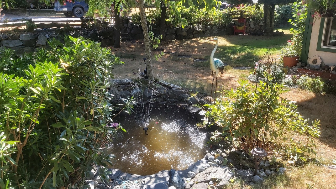 Photo of Outdoor in Shawnigan Lake