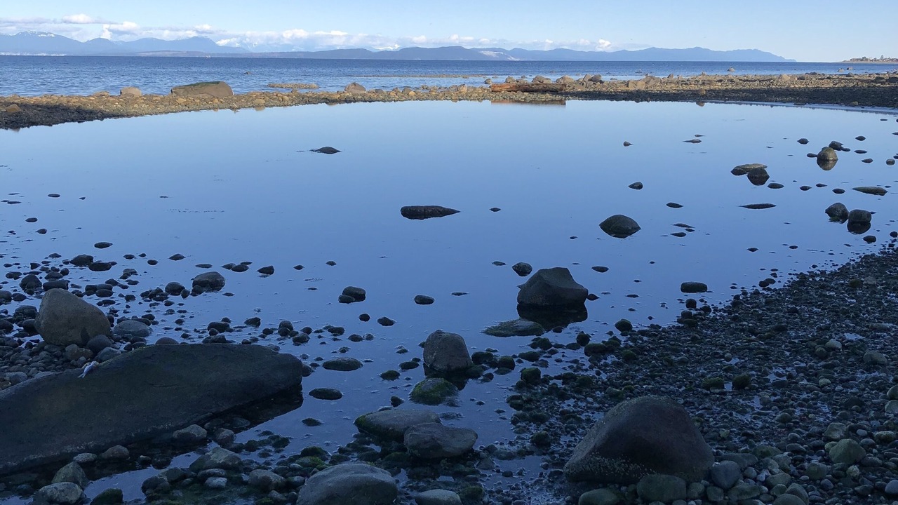 Photo of Others in Courtenay