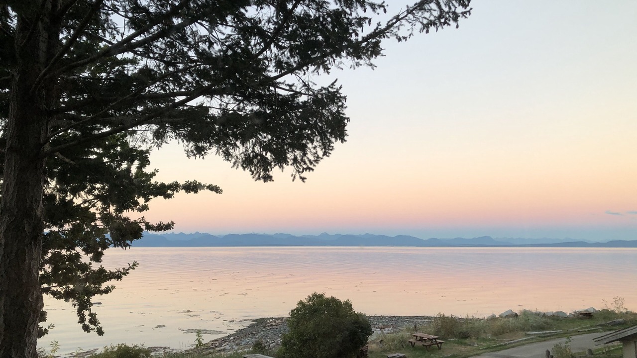 Photo of Others in Courtenay