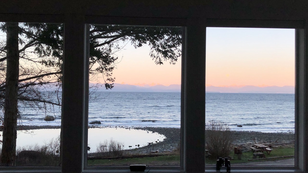 Photo of Others in Courtenay