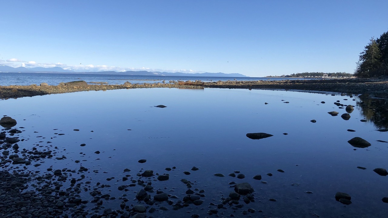 Photo of Others in Courtenay