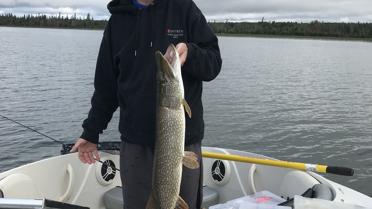 Photo of Others in Big River