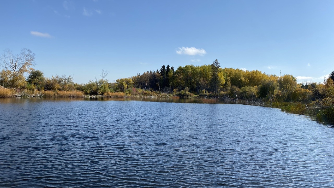 Photo of Others in Big River