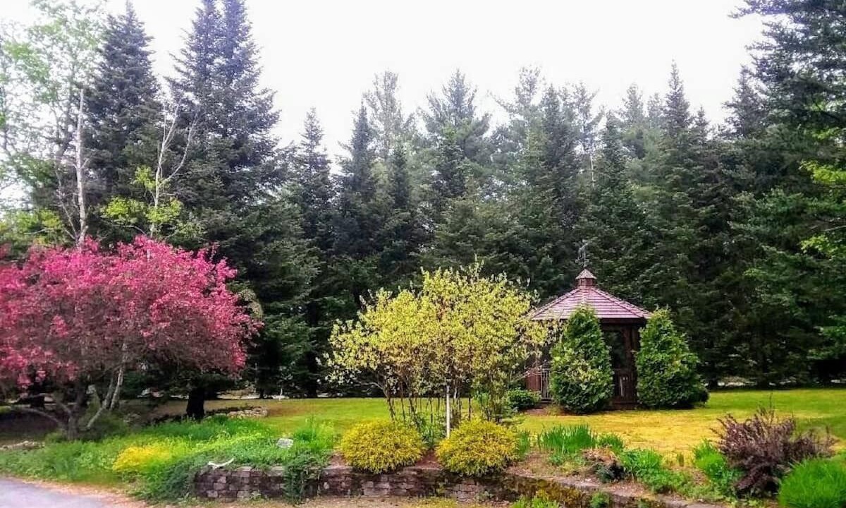 Photo of Outdoor in Twin Mountain