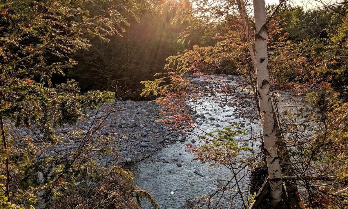 Photo of Outdoor in Twin Mountain