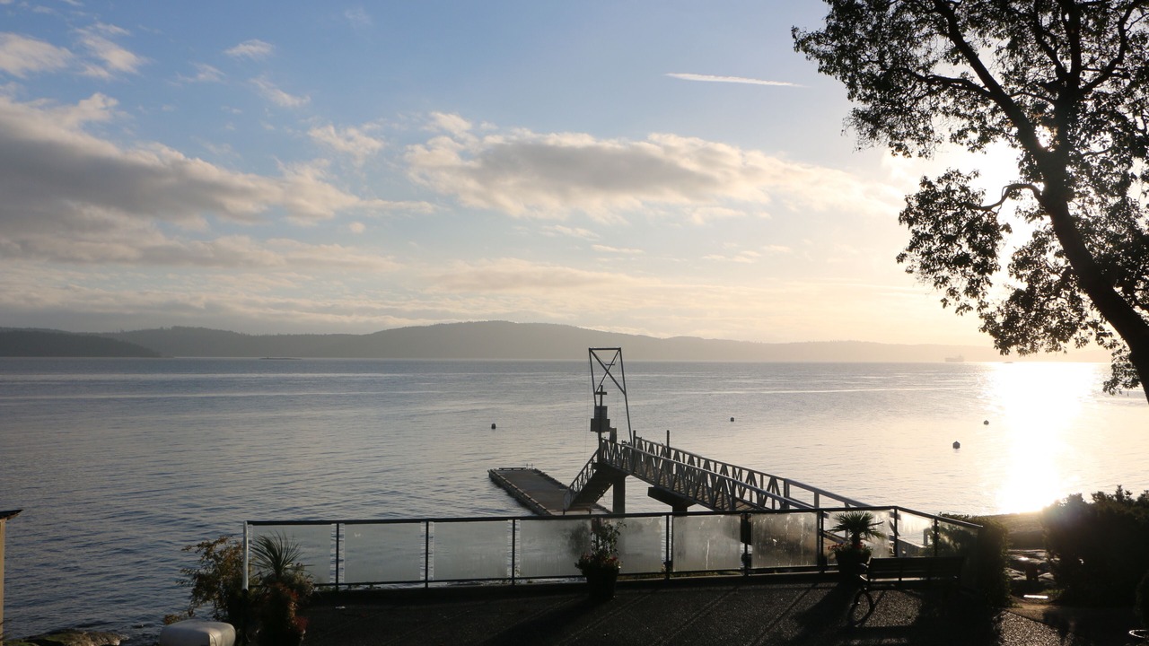 Photo of Others in Yellow Point