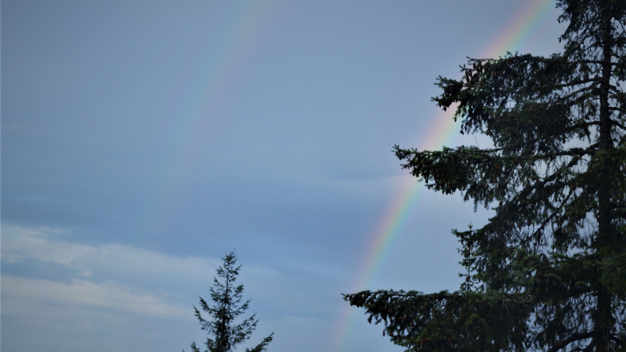 Photo of Others in Salt Spring Island