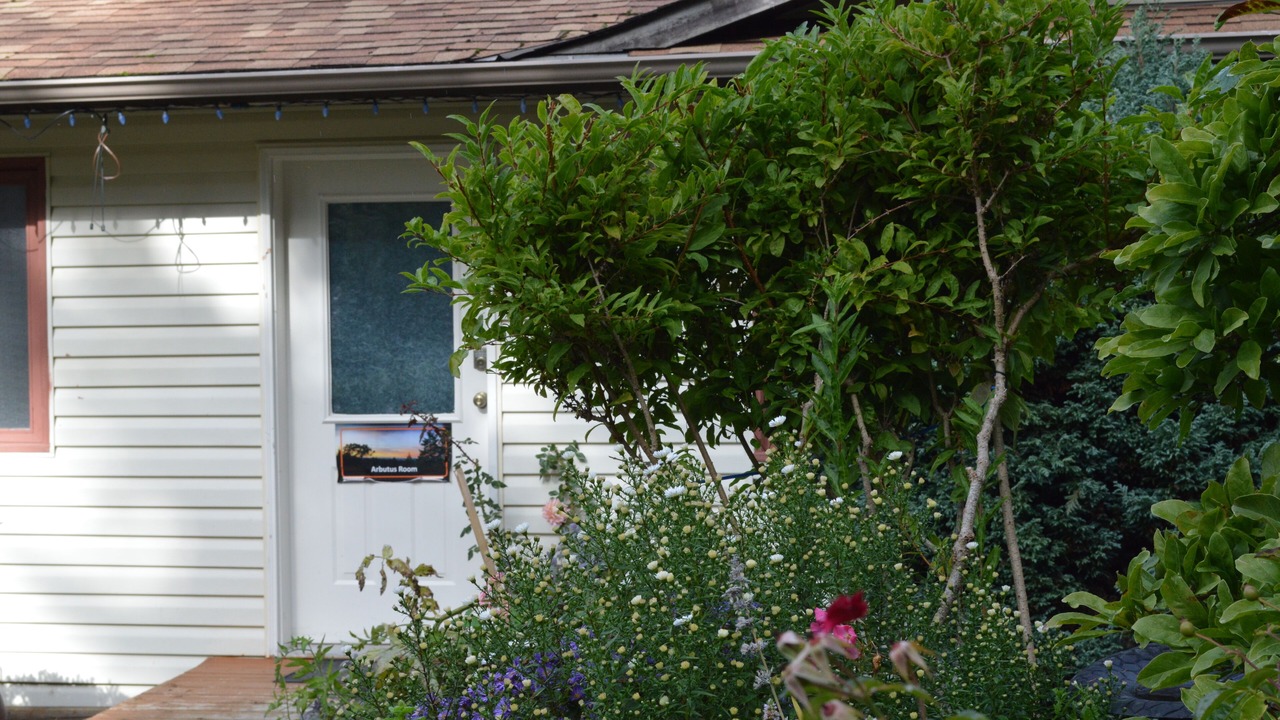 Photo of Outdoor in Salt Spring Island