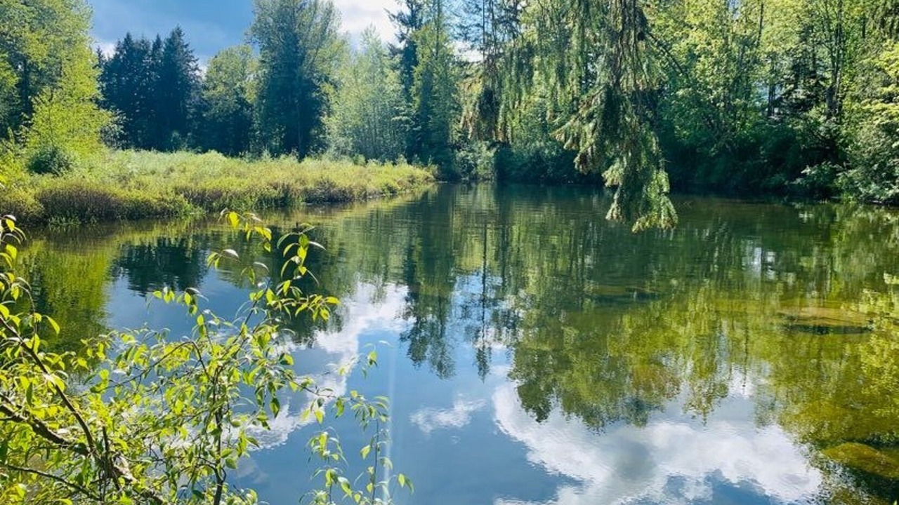 Photo of Others in Regional District of Nanaimo