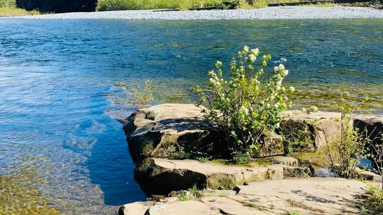 Photo of Others in Regional District of Nanaimo