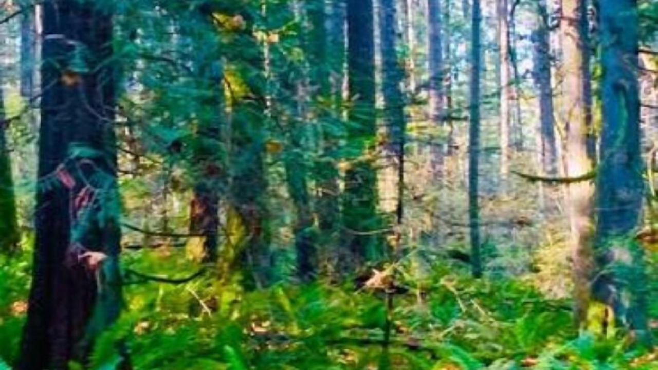 Photo of Others in Regional District of Nanaimo