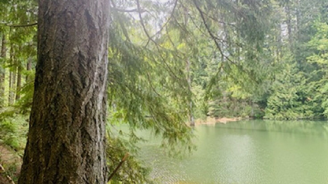 Photo of Others in Regional District of Nanaimo