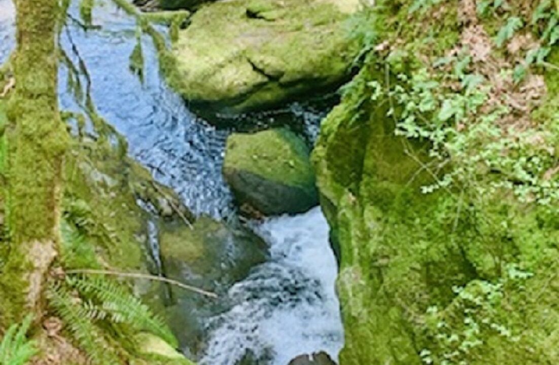 Photo of Others in Regional District of Nanaimo