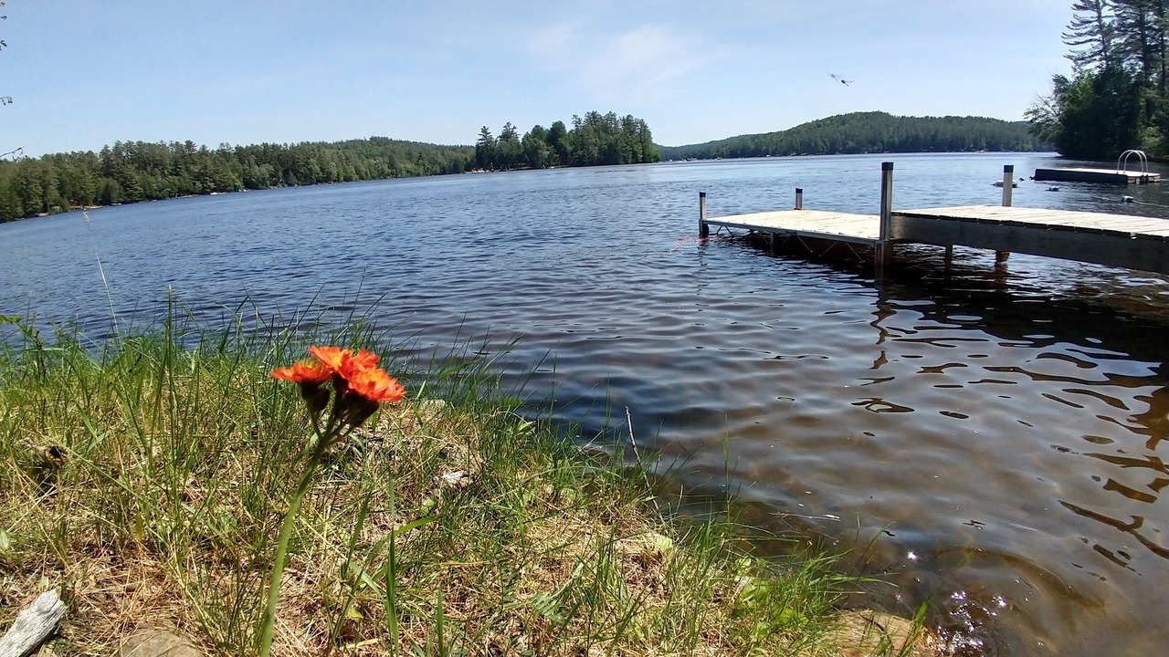 Photo of Outdoor in Chestertown