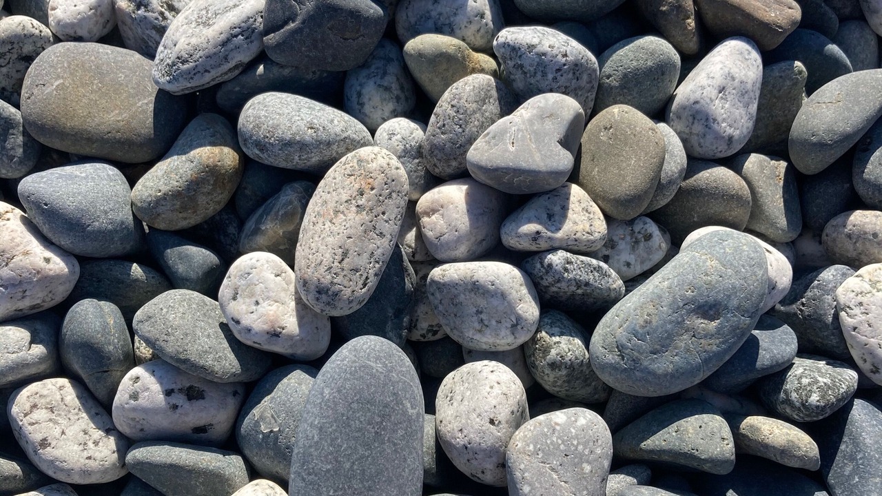 Photo of Others in Saanich East