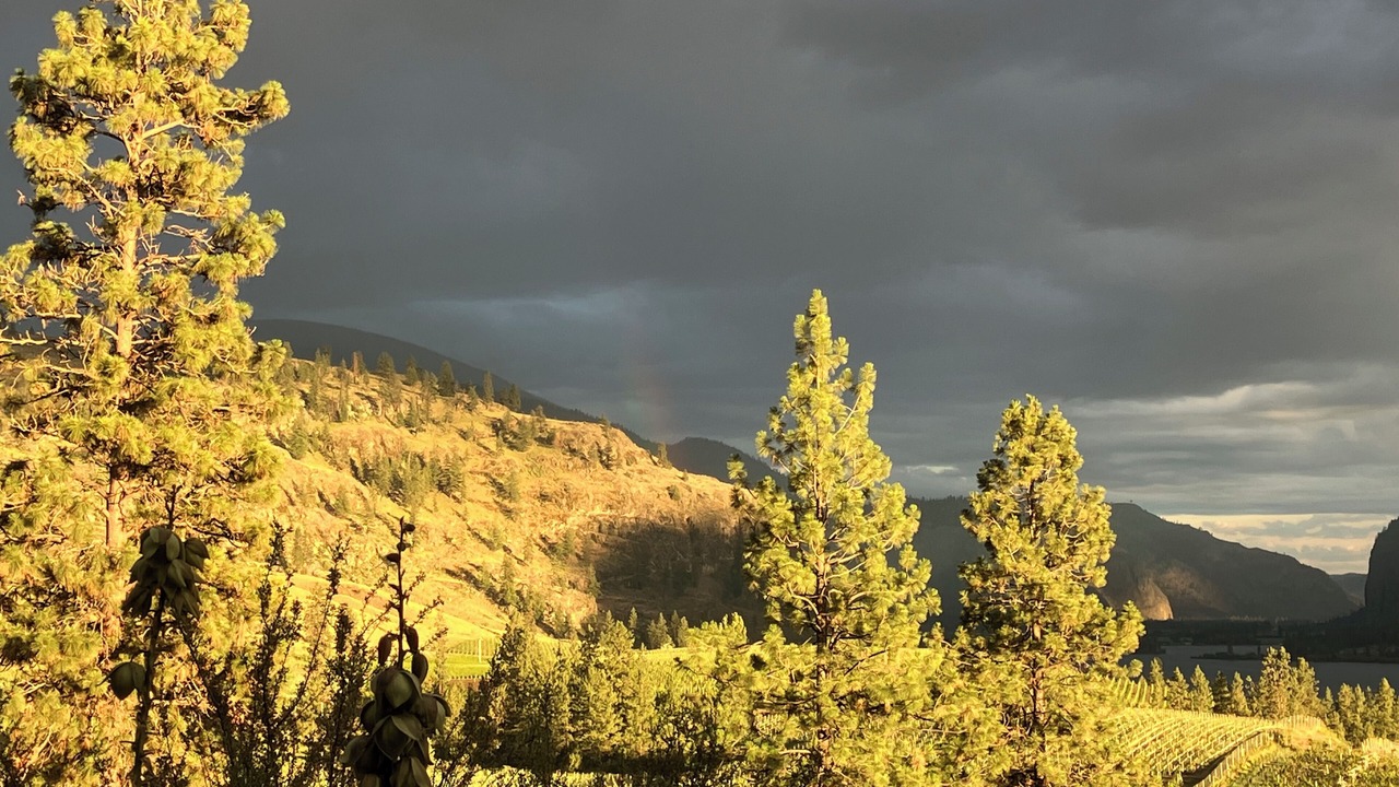 Photo of Others in Okanagan-Similkameen