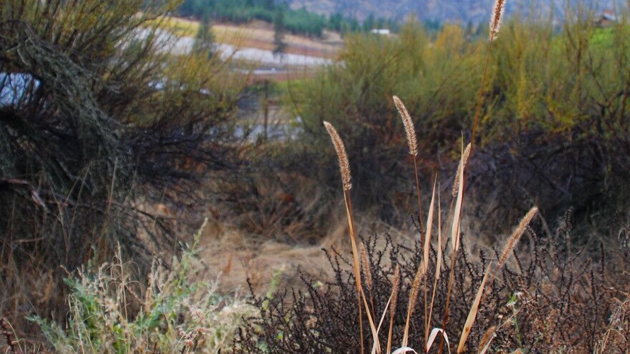 Photo of Outdoor in Okanagan-Similkameen