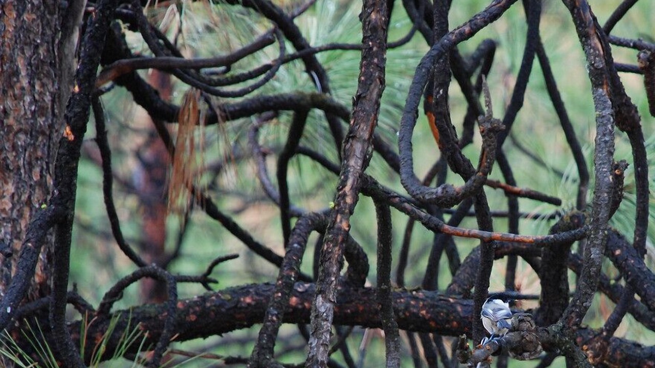 Photo of Outdoor in Okanagan-Similkameen