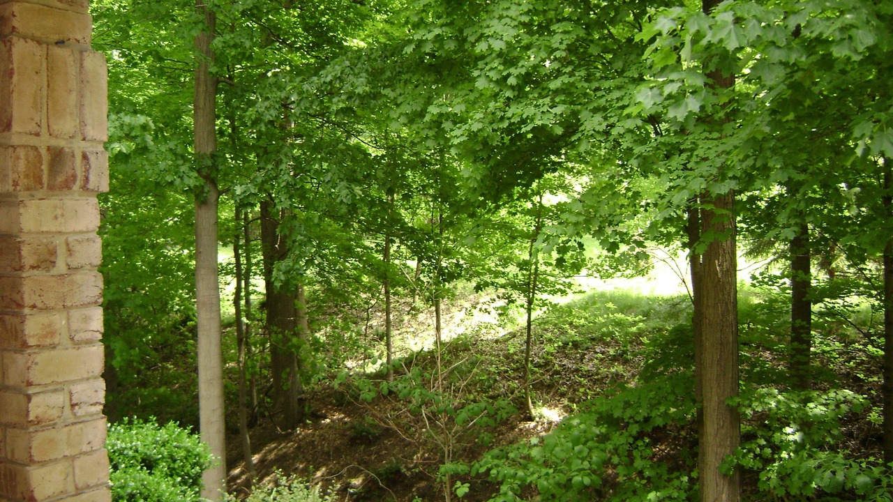 Photo of Outdoor in Broadview Heights