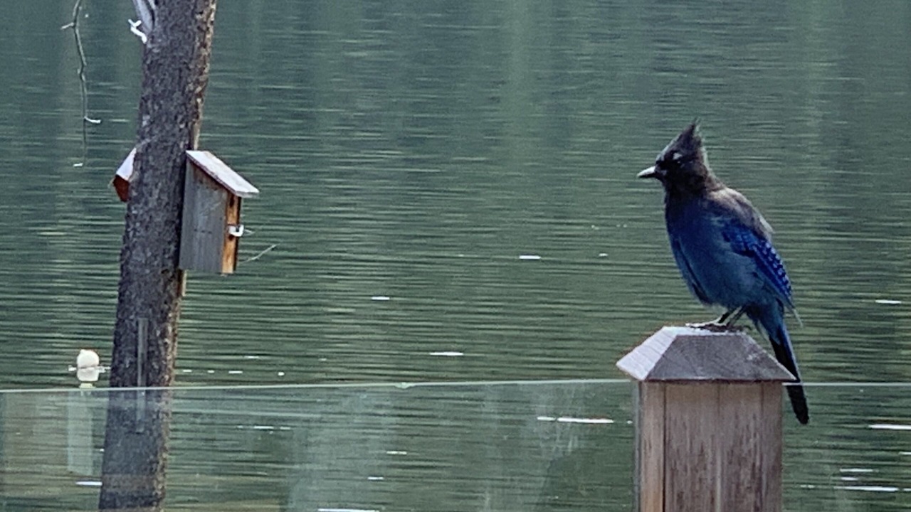 Photo of Others in Okanagan-Similkameen