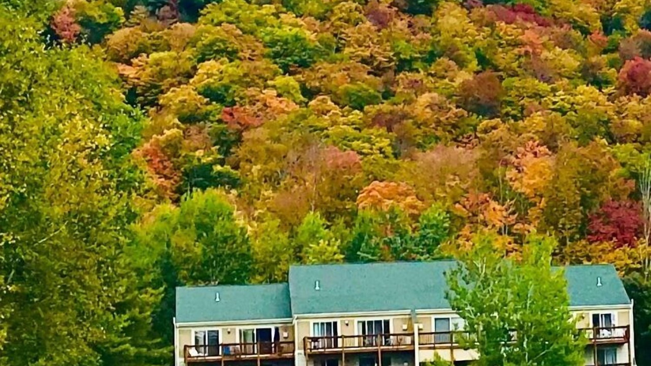Photo of Outdoor in Lincoln