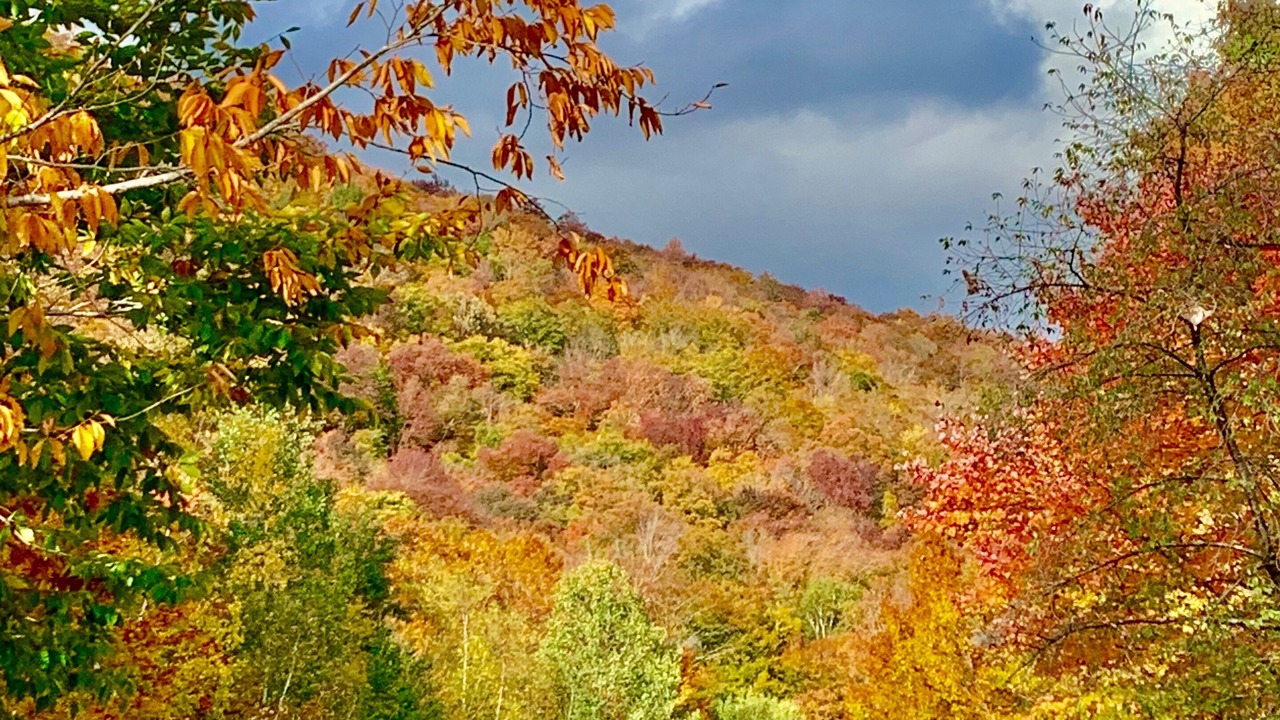 Photo of Outdoor in Lincoln