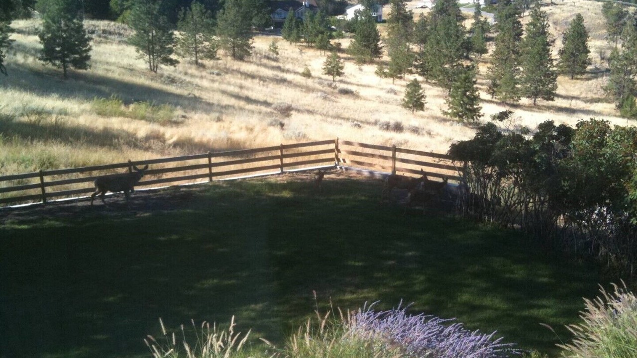 Photo of Outdoor in Okanagan-Similkameen