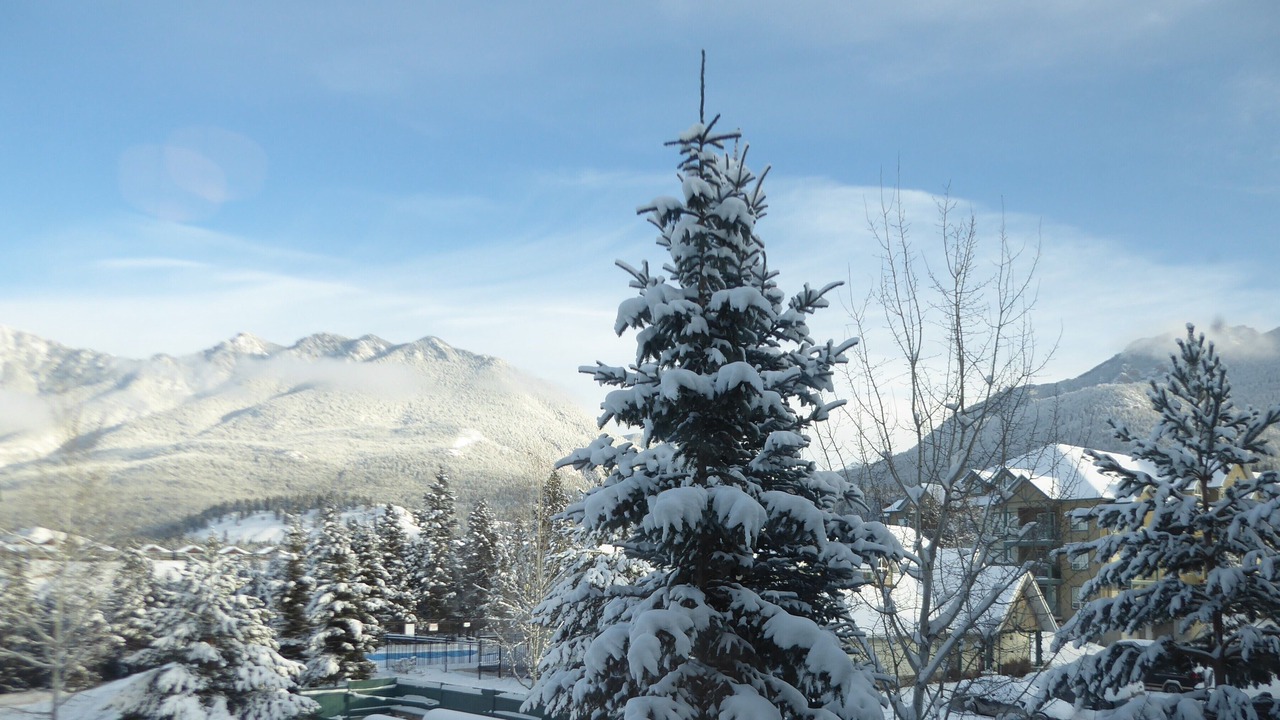 Photo of Patio Balcony in East Kootenay