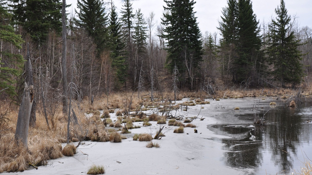 Photo of Others in Northeast Edmonton