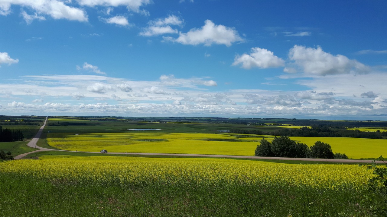 Photo of Others in Northeast Edmonton