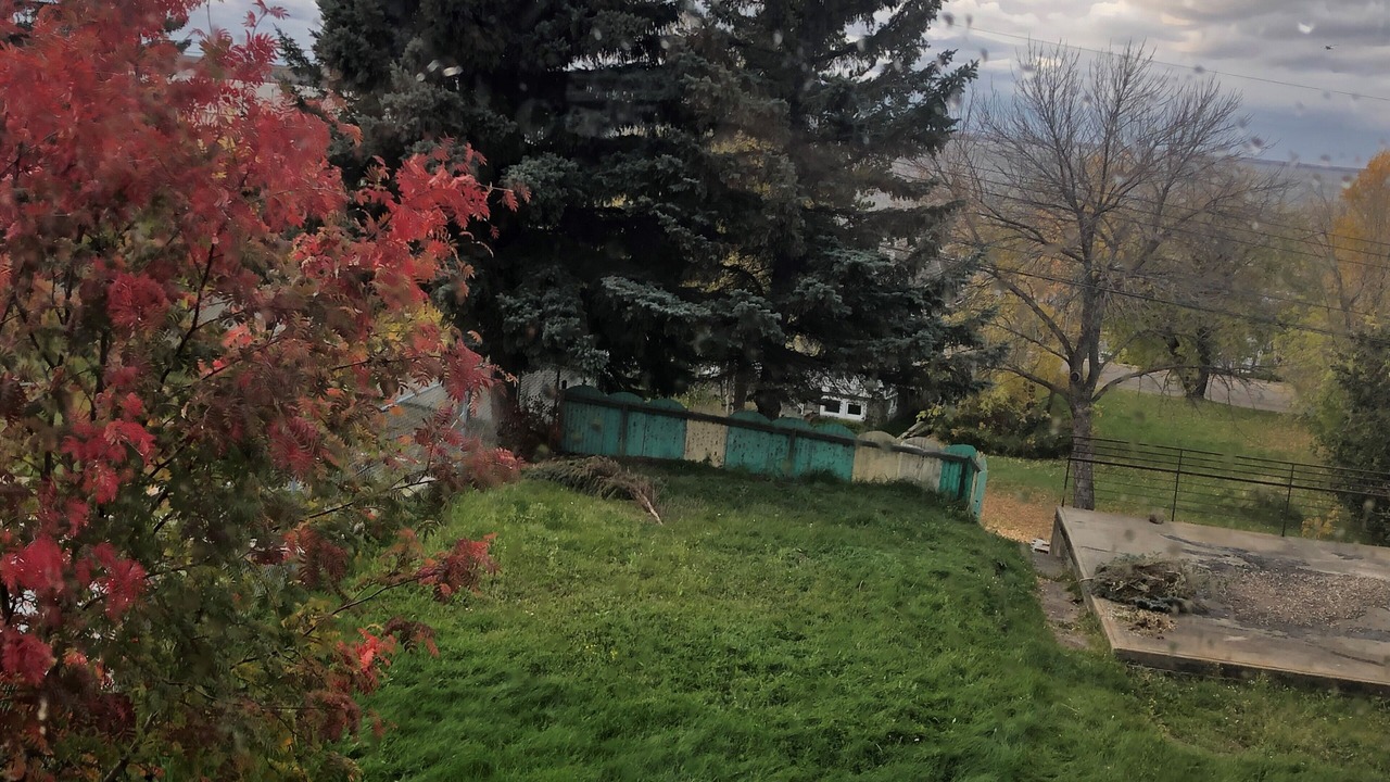 Photo of Outdoor in Lac La Biche