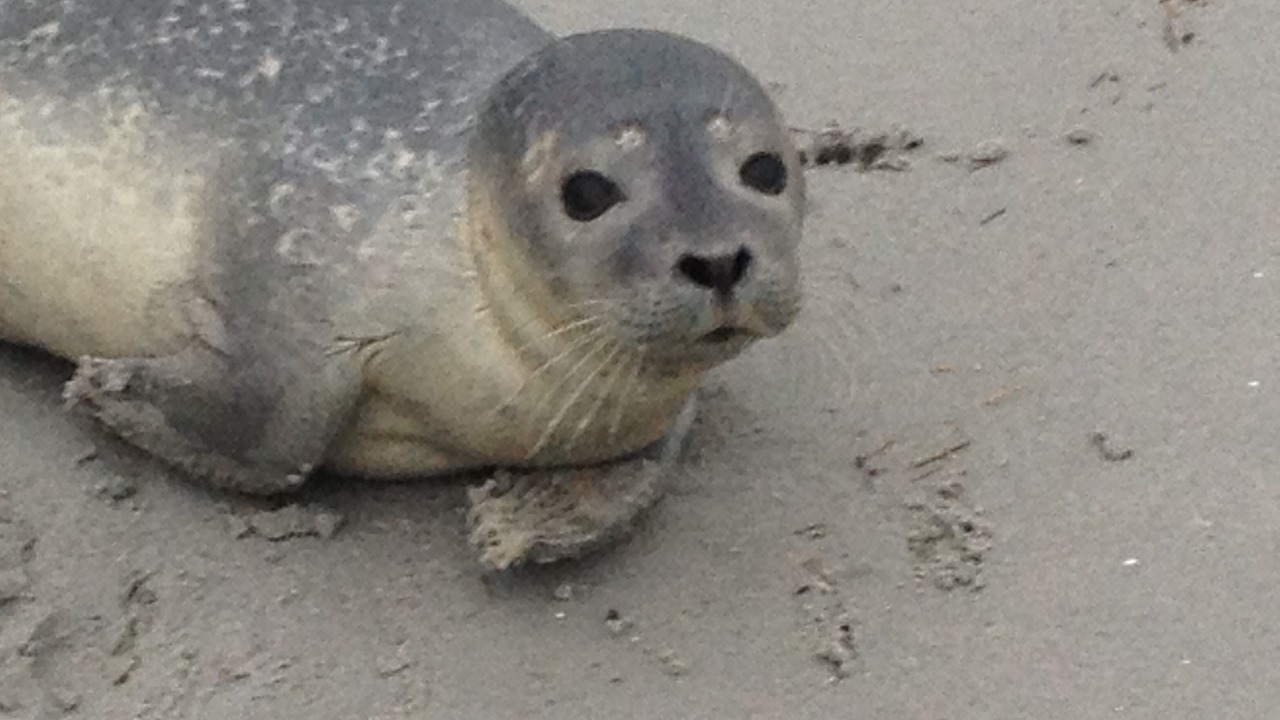 Photo of Others in Kennebunkport